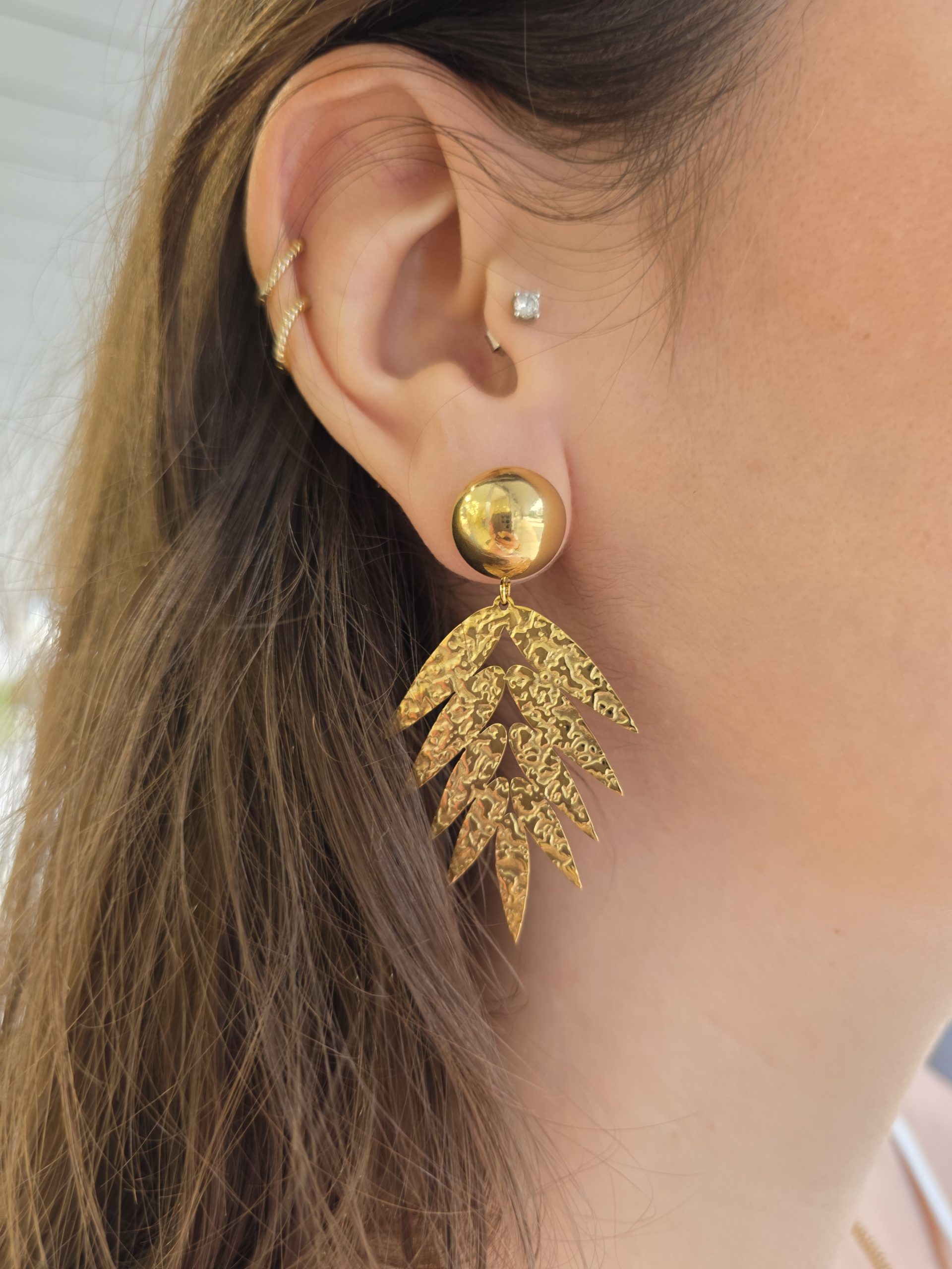 20250605_191421 Brinco Espiga Aço Inoxidável - Image 1