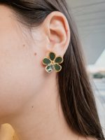 Brinco Verde Aço Inox